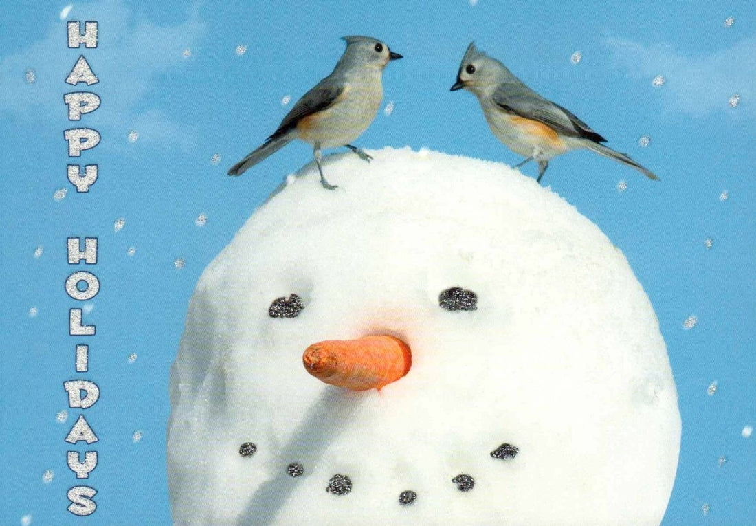 Weihnachtskarte mit Vögeln & Schneemann – "Happy Holidays" , Winterlicher Blauer Himmel, Festliche Frohe Feiertage, Lustige Niedliche Weihnachtspostkarte