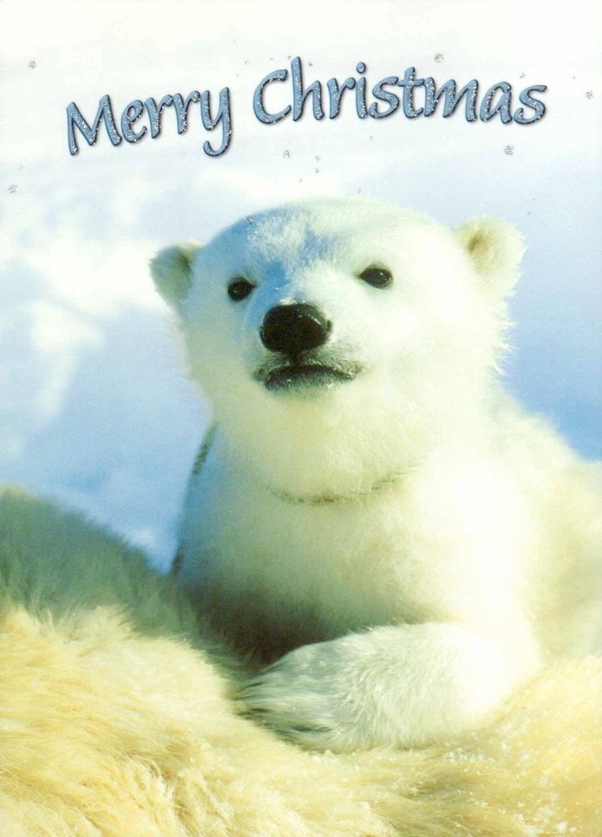 Weihnachtspostkarte Eisbär: merry christmas