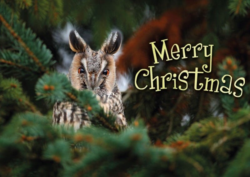 Weihnachtspostkarte Eule im Baum: Merry Christmas