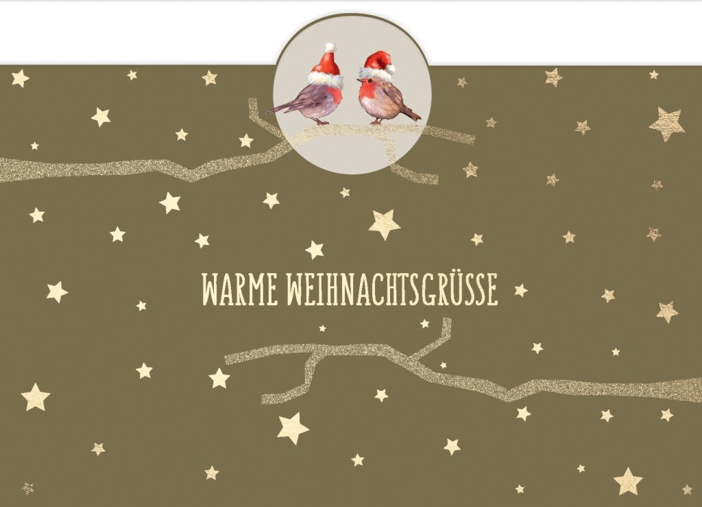 Weihnachtspostkarte Goldfolie 2 Rotkehlchen mit Weihnachtsmützchen