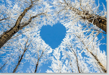 Winterliche Doppelkarte mit Blumen - und Naturmotiv - Blankokarte für Naturliebhaber, Fotografie von Eis, Herz, Bäumen & Frostigem Himmel - Ruhevolle Grußkarte in Hellblau & Weiß, Ideal für Romantiker