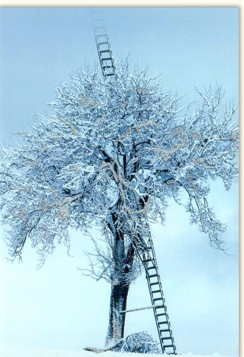 Winterliche Grüße Doppelkarte - Idyllische Winterlandschaft mit Baum, Schnee und Eisleiter, Himmelblau & Frostige Natur, Kalt & Ruhige Szene, Perfekt für die kalte Jahreszeit - Stilleben Grußkarte