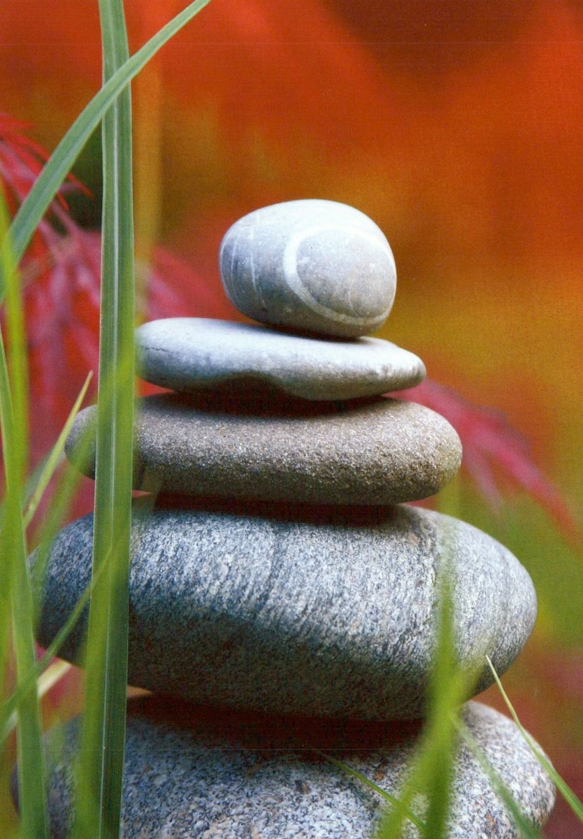 Zen Garten Ruhe & Meditation Postkarte - Entspannung und Harmonie mit Roten Blumen, Grünes Gras - Blanko Grußkarte für Wellness, Balance, Spiritualität - Mindfulness Dekor Fotografie